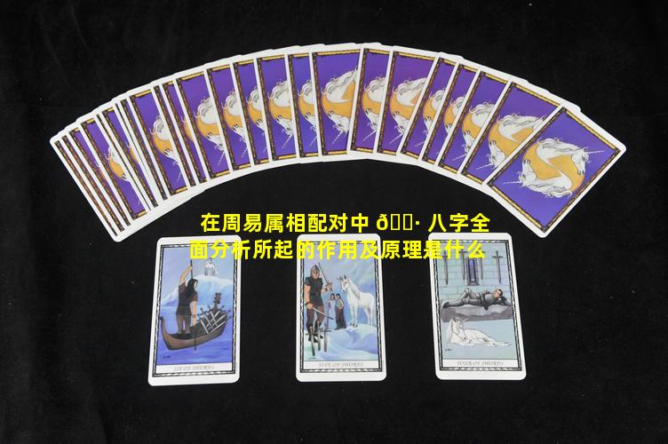 在周易属相配对中 🌷 八字全面分析所起的作用及原理是什么